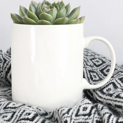 Succulent Cup1 - one side print